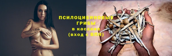 СК Михайловск